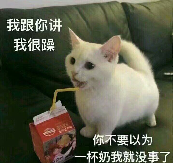 猫猫跟你讲我很躁，不要以为杯奶我就没事了表情包