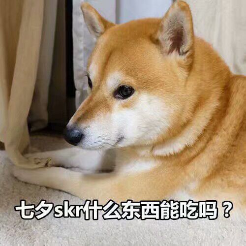 七夕快乐 什么东西能吃吗 柴犬表情包