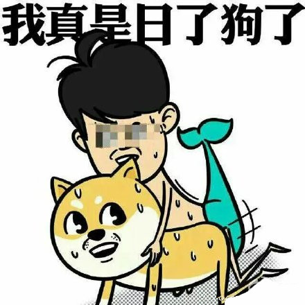 巨猥琐聊天表情图片 我真是日了狗了表情包